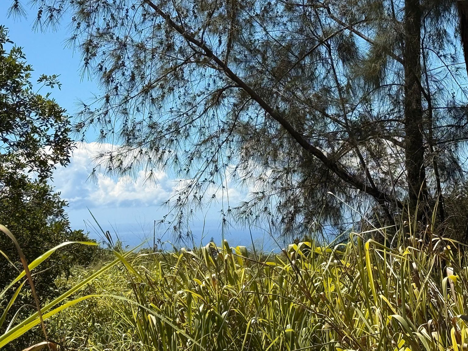 Kai Makani Pl Naalehu, HI 96772 - Thumbnail 3