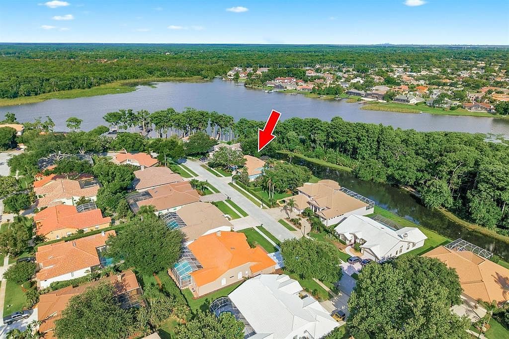 3930 Tarian Ct Palm Harbor, FL 34684 - Thumbnail 3