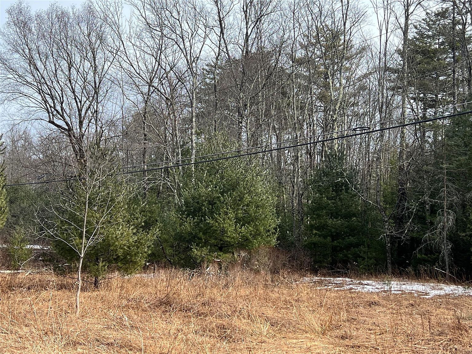 Martinfeld Rd Greenfield Park, NY 12435 - Thumbnail 3