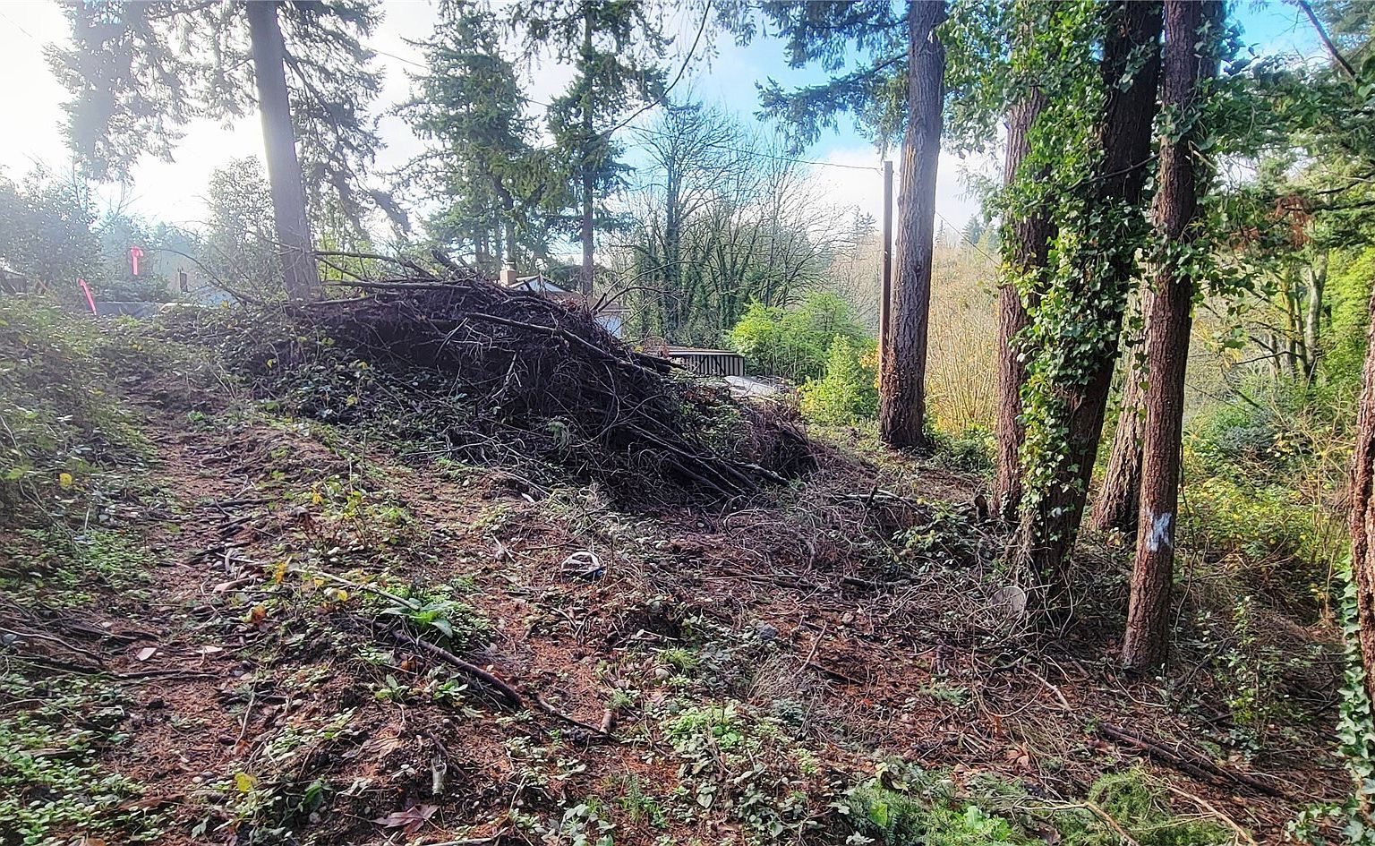 3202 17th St Bremerton, WA 98312 - Thumbnail 3