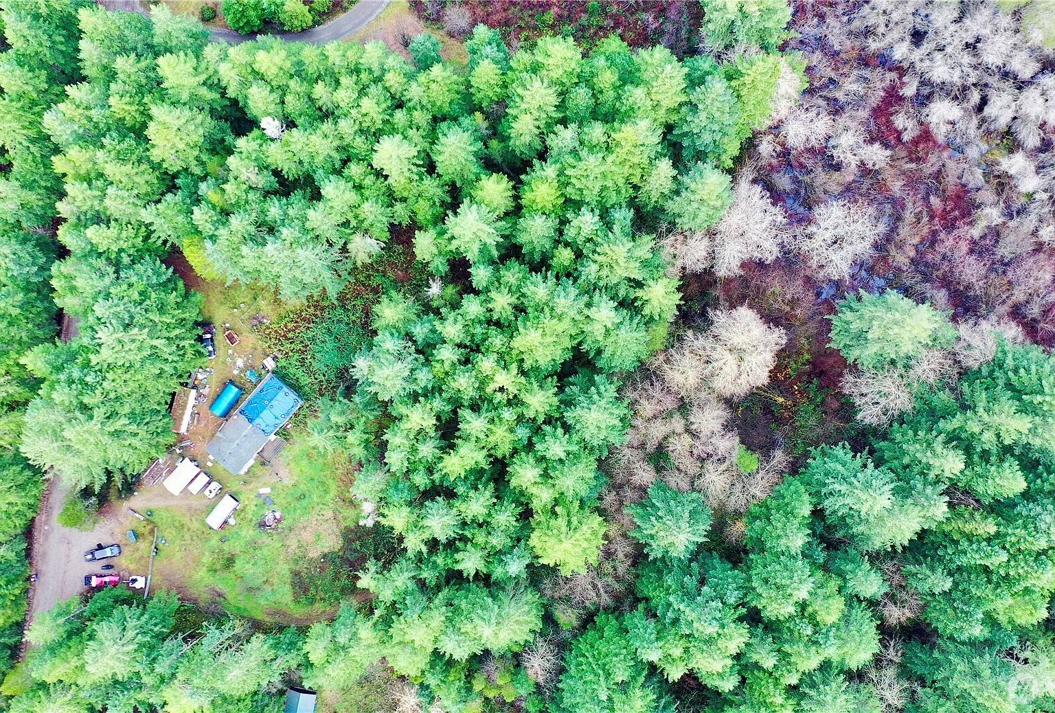 10185 May Ranch Ln SW Pt Orchard, WA 98367 - Thumbnail 3