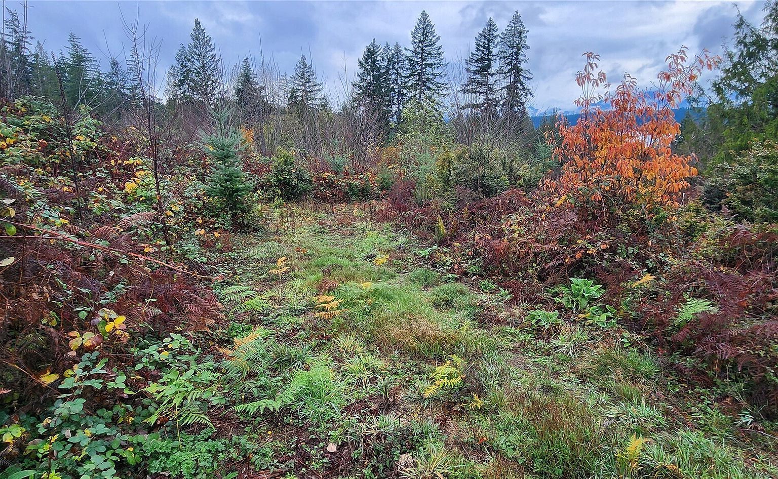 0 E Twanoh Heights Rd Belfair, WA 98528 - Thumbnail 3