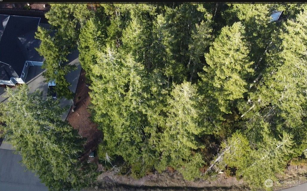 350 E Vine Maple Ln Union, WA 98592 - Thumbnail 3