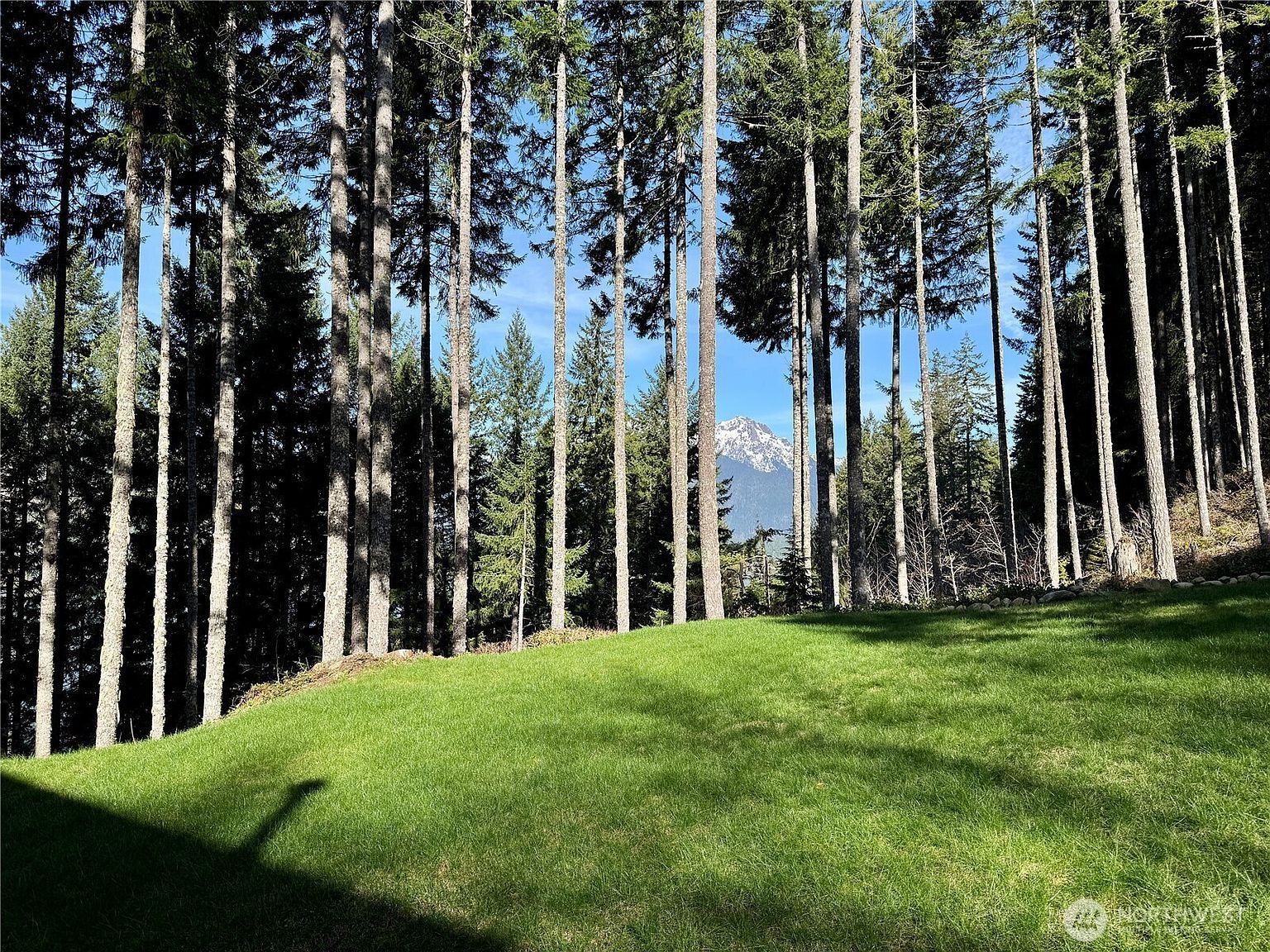 70 N Rim View Pl Hoodsport, WA 98548 - Thumbnail 3