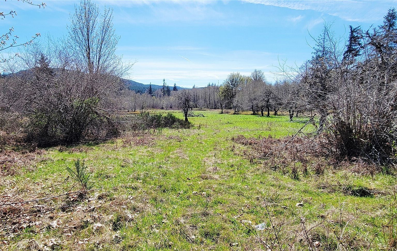 0 W Cloquallum Rd Shelton, WA 98584 - Thumbnail 3