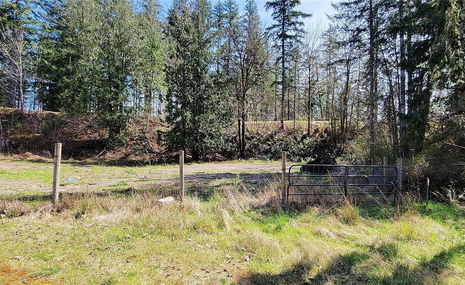 50 W Alder Pl Elma, WA 98541 - Thumbnail 3