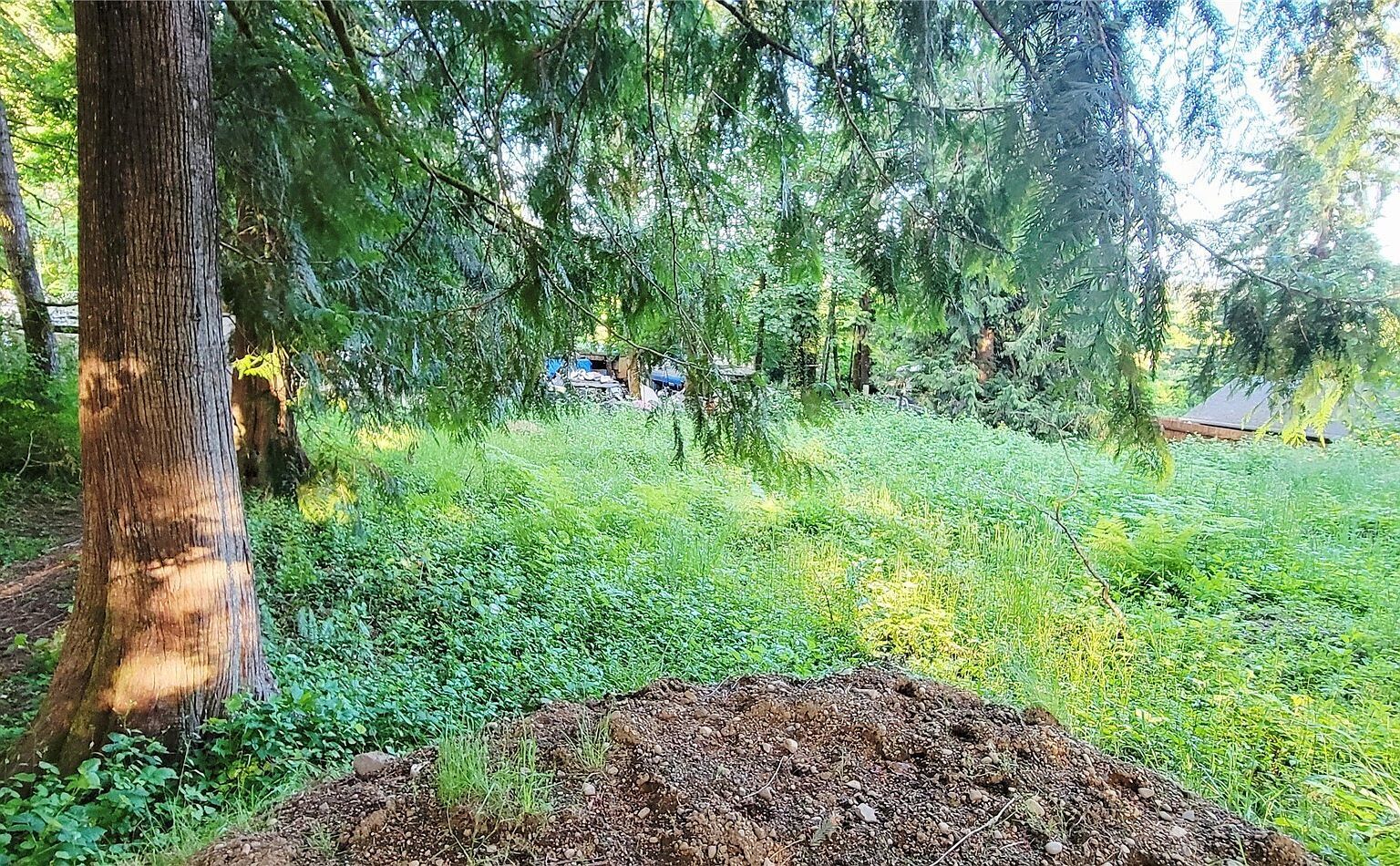 1810 Mason St Shelton, WA 98584 - Thumbnail 3