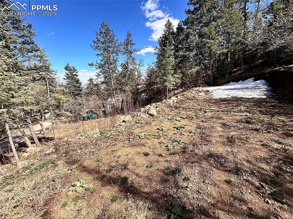 0 Pine Ln Colorado Springs, CO 80906 - Thumbnail 3