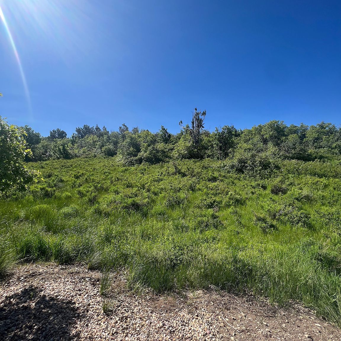 13606 22460 Fairview, UT 84629 - Thumbnail 3