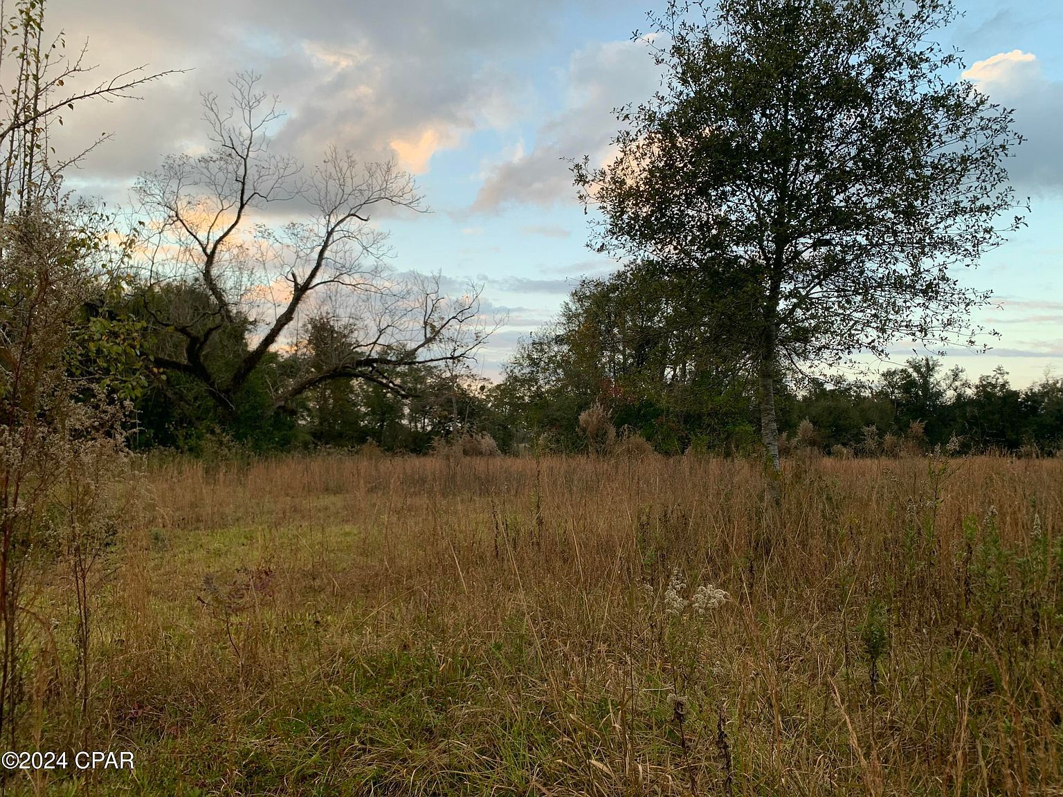 7010 Nobles Rd Grand Ridge, FL 32442 - Thumbnail 3