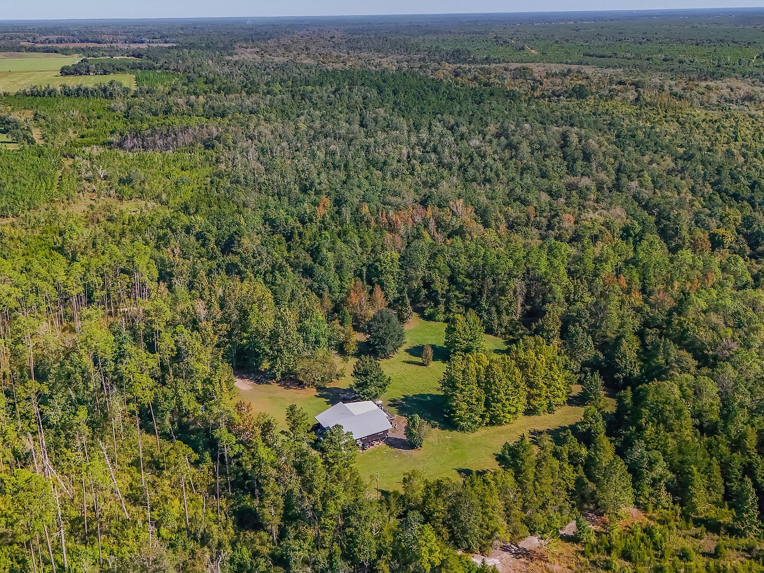 16540 NW County Road 379a Bristol, FL 32321 - Thumbnail 3