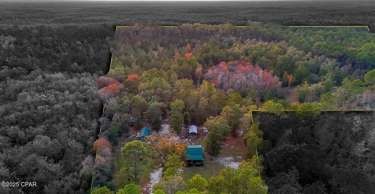 38134 SW Forest Rd #123 Bristol, FL 32321 - Thumbnail 3