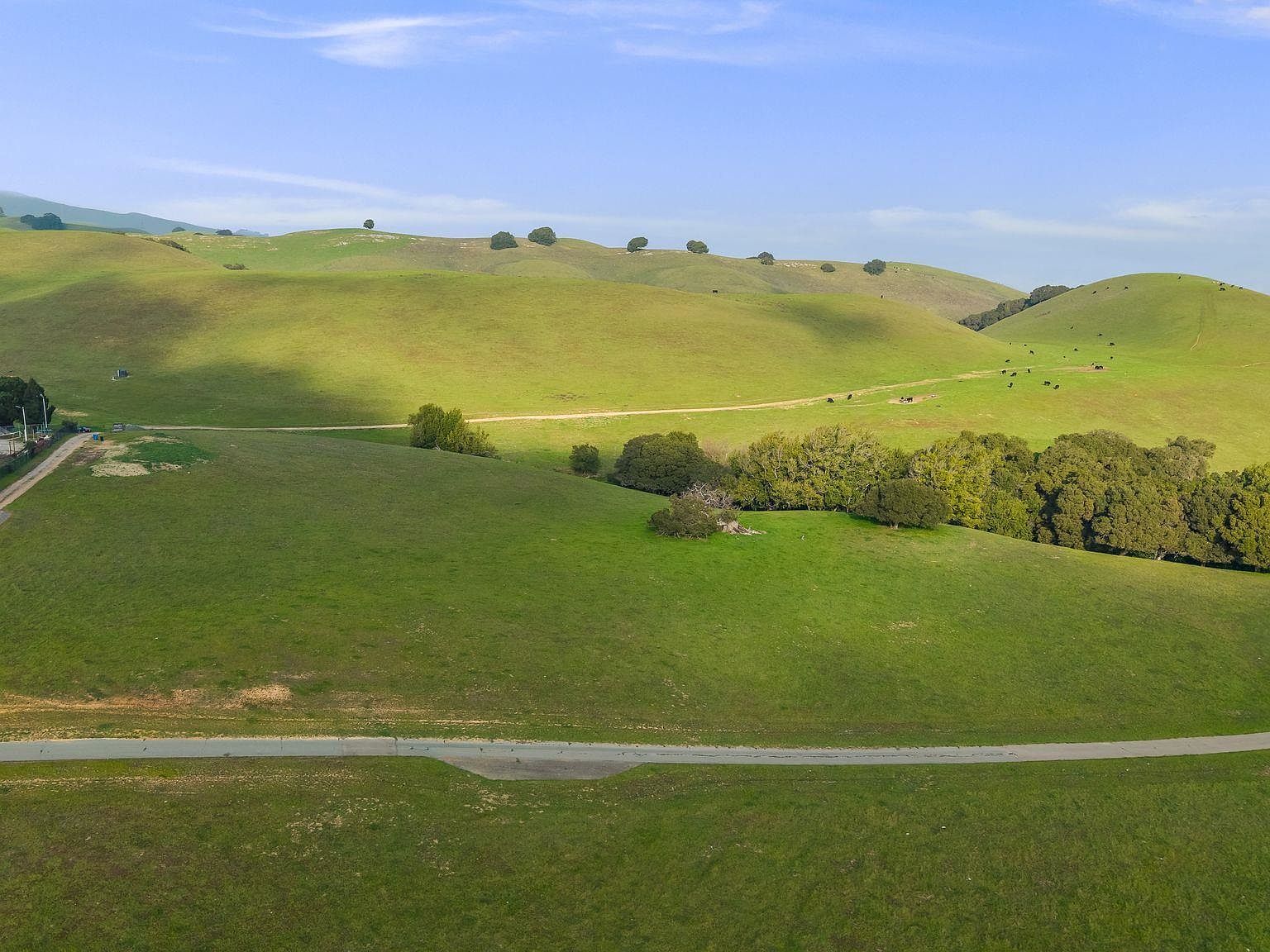 2395 Tecado Ter Fremont, CA 94539 - Thumbnail 3