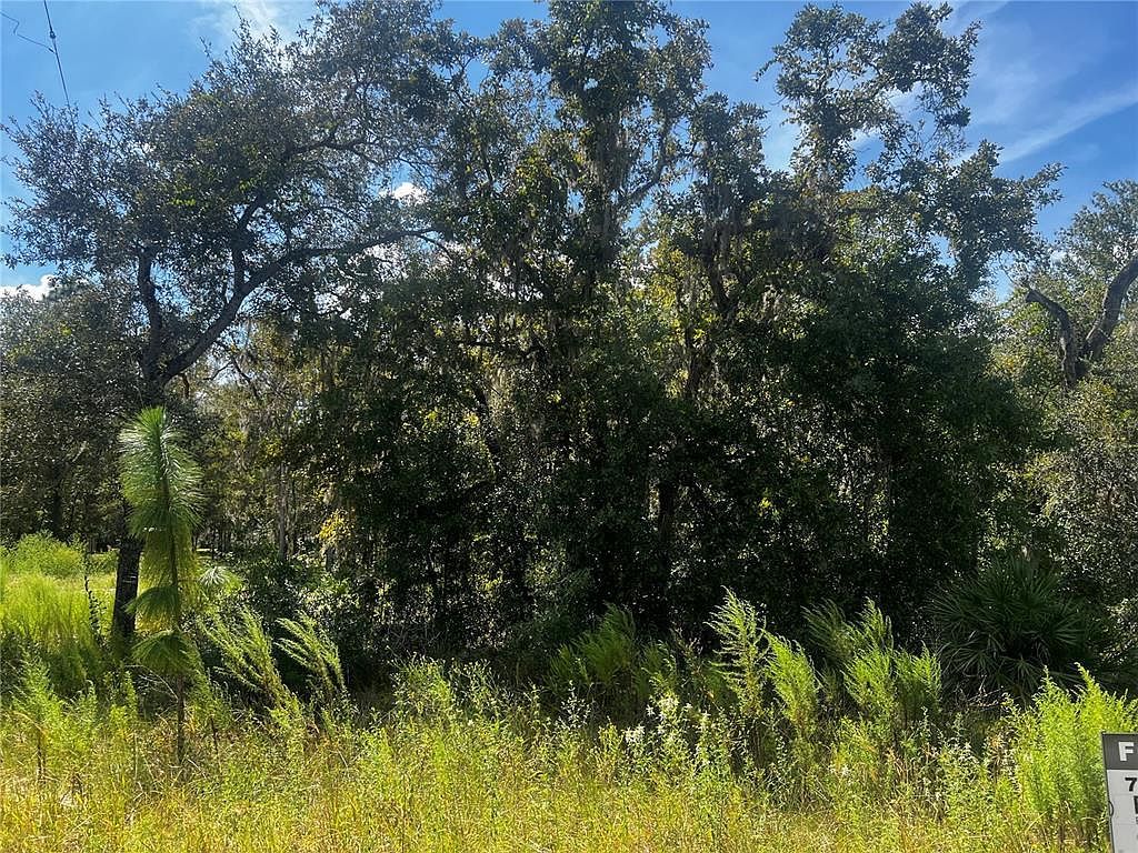 0 Crider Rd LOT 14 Brooksville, FL 34614 - Thumbnail 3
