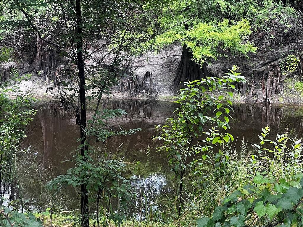 0 Olivet Dr #11 Dade City, FL 33523 - Thumbnail 3