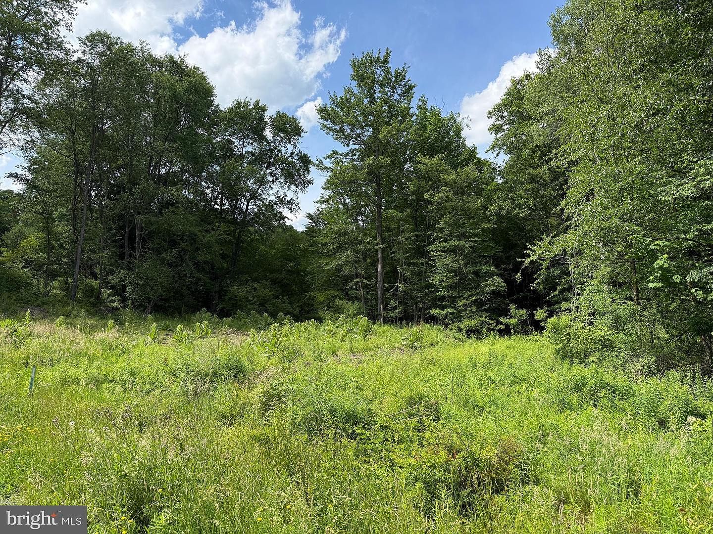 0 Frog Hollow Rd Philipsburg, PA 16866 - Thumbnail 3