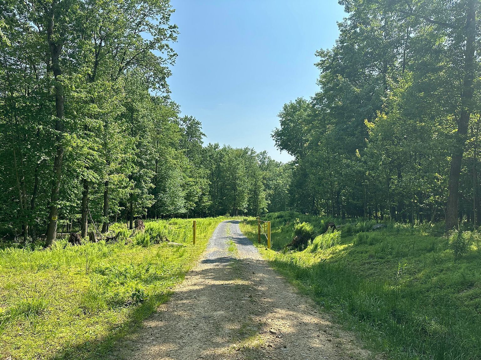 6B Turkey Hollow Rd Sigel, PA 15860 - Thumbnail 3