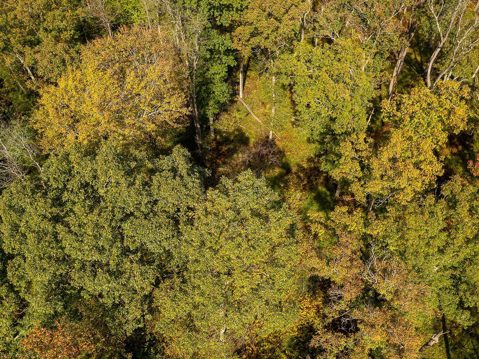 7A Gobbler Ridge Rd Sigel, PA 15860 - Thumbnail 3