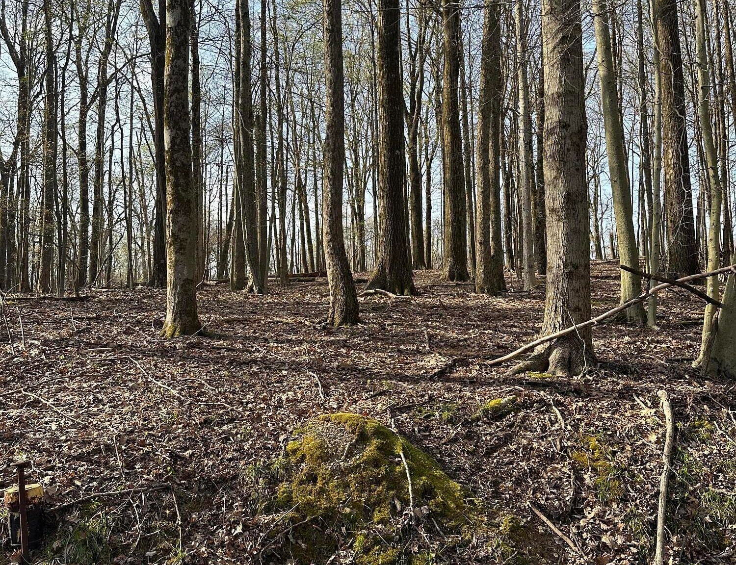 Galloway Rd LOT 249 Du Bois, PA 15801 - Thumbnail 3