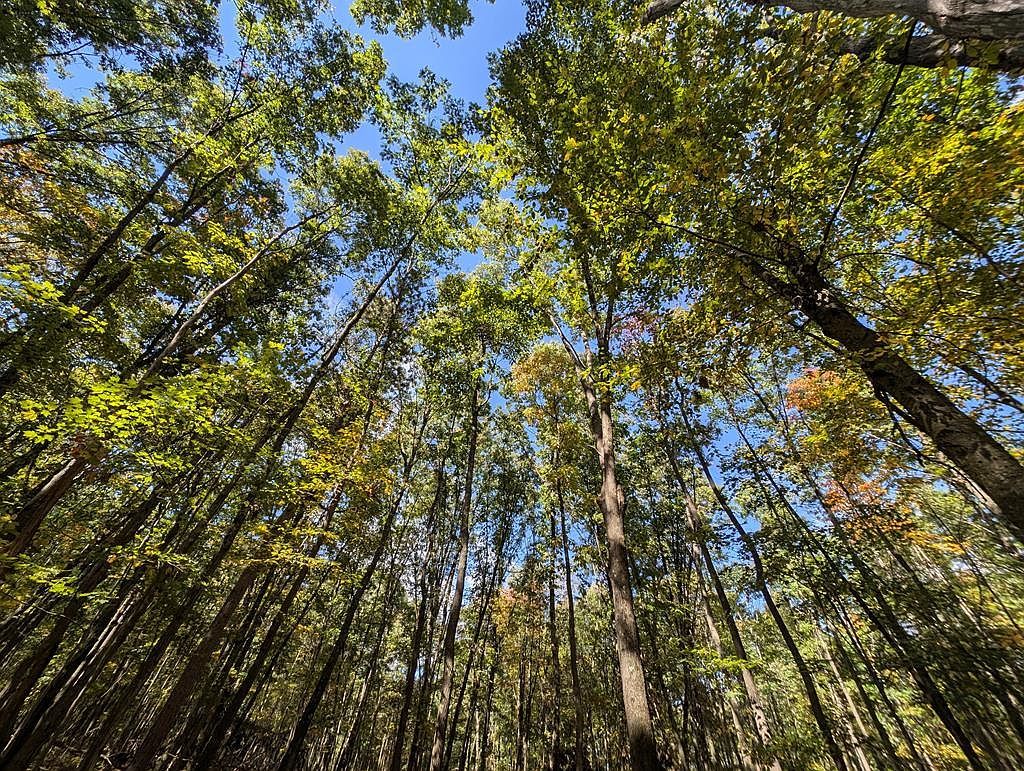 873 Burns Rd Venus, PA 16364 - Thumbnail 3