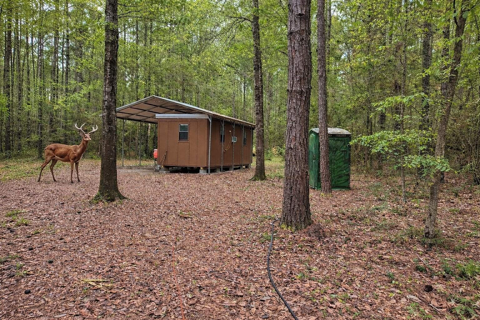 2370 Westville Rd Groveton, TX 75845 - Thumbnail 3