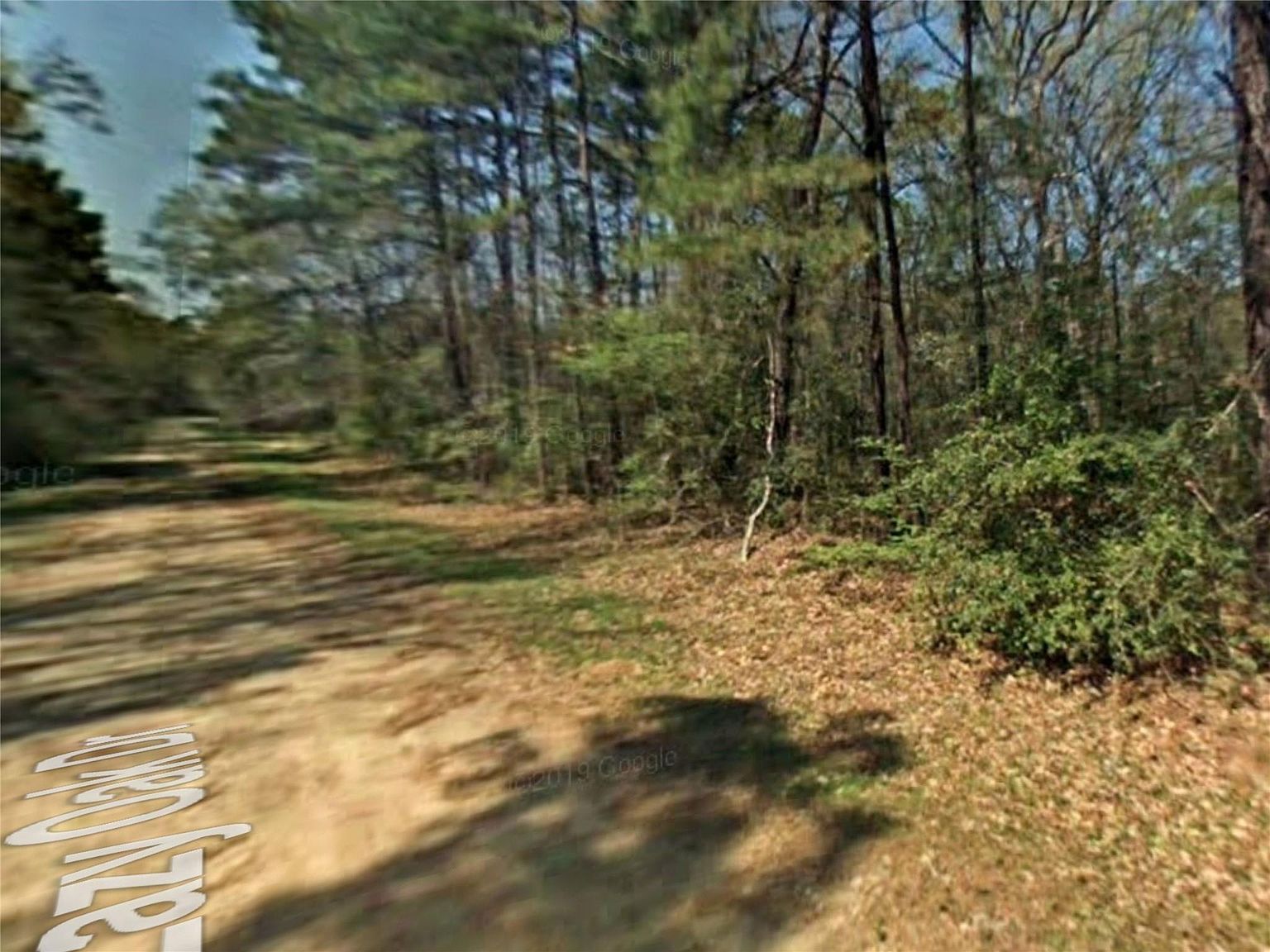 Tbd Lazy Oak Dr Livingston, TX 77351 - Thumbnail 3