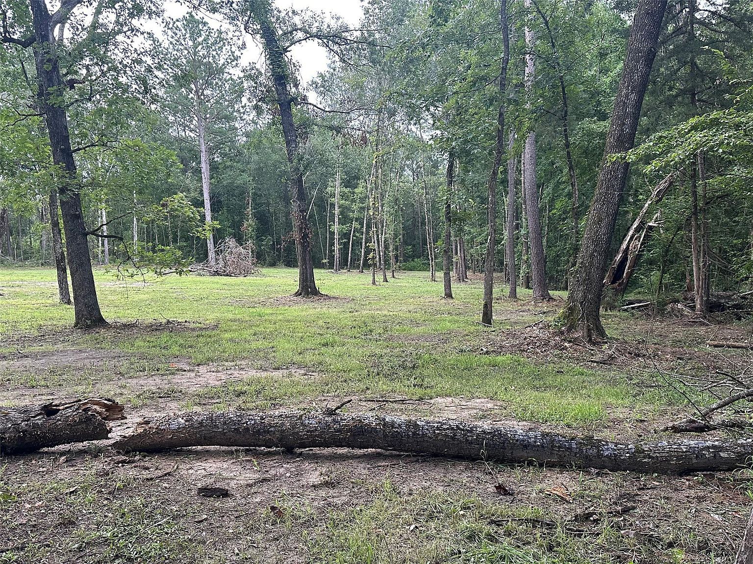 97 W Oak Tree Dr LOT 10-11-12 Pointblank, TX 77364 - Thumbnail 3