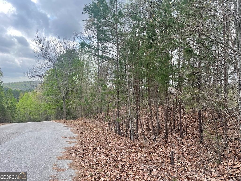 0 Planters Pointe Dr Baldwin, GA 30511 - Thumbnail 3