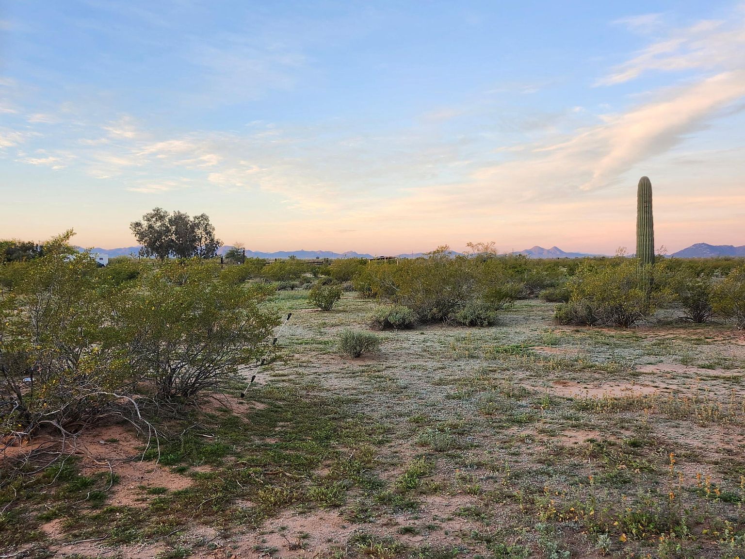 7716 N Shadows Desert Ln Marana, AZ 85653 - Thumbnail 3