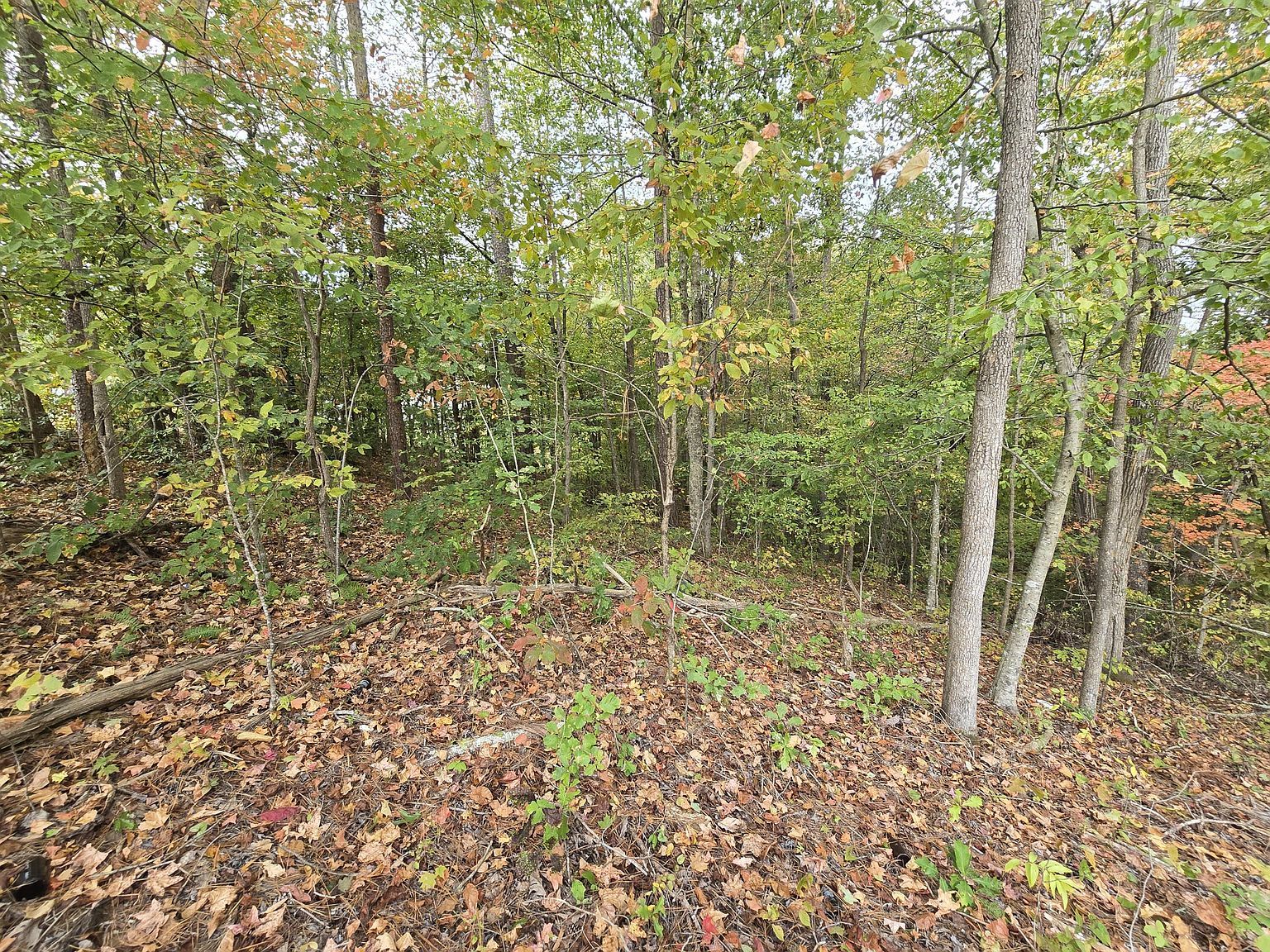 1 Headrick Cir SE, Dalton, GA, 30721 - Thumbnail 3