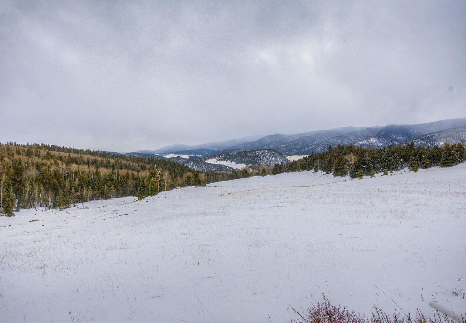 22222 Lillie Ln Weston, CO 81091 - Thumbnail 3