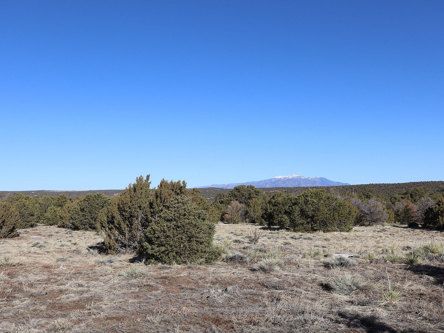 Buffalo Dr N LOT 115 Walsenburg, CO 81089 - Thumbnail 3