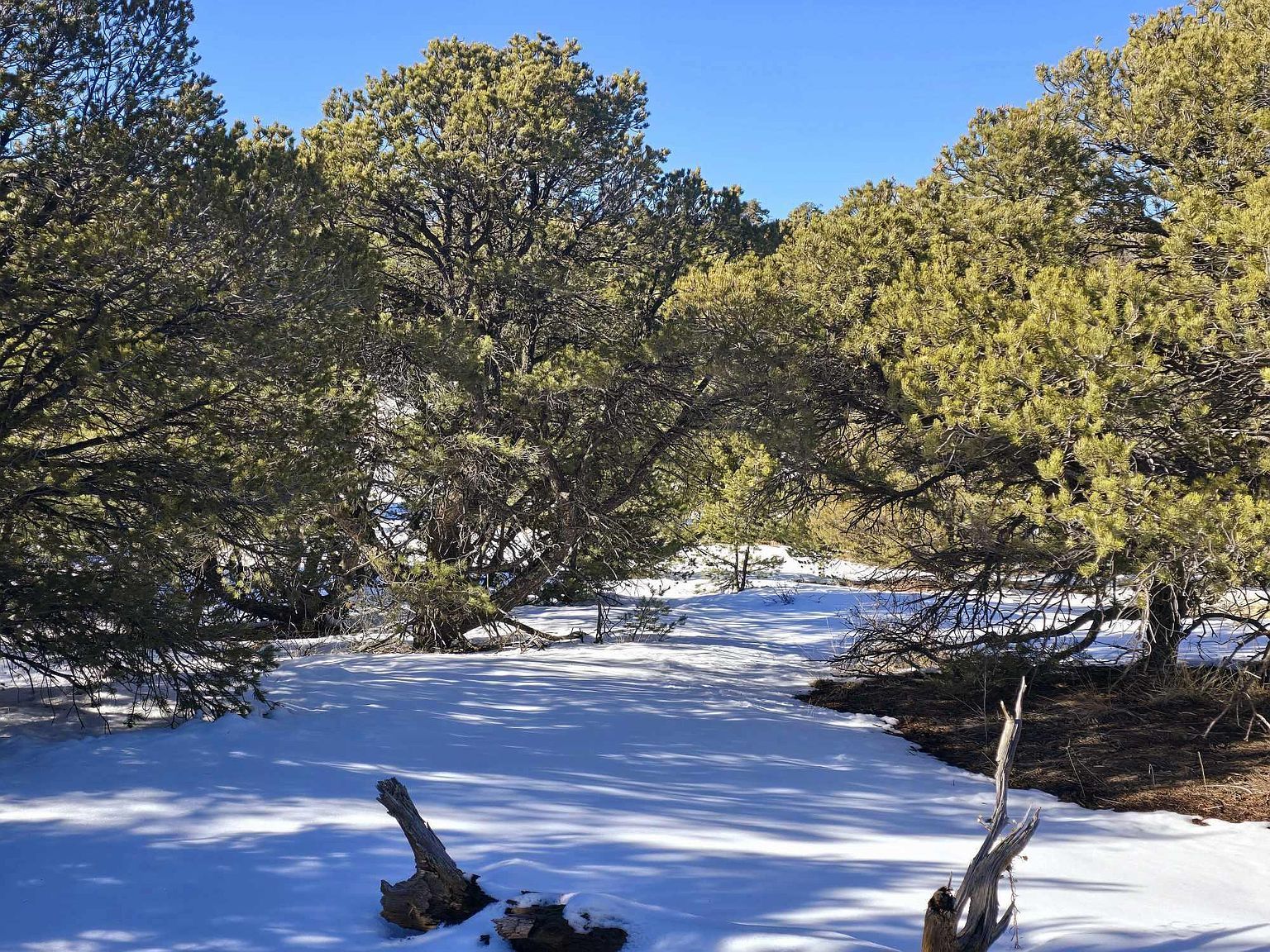 16 Navajo Rd Walsenburg, CO 81089 - Thumbnail 3