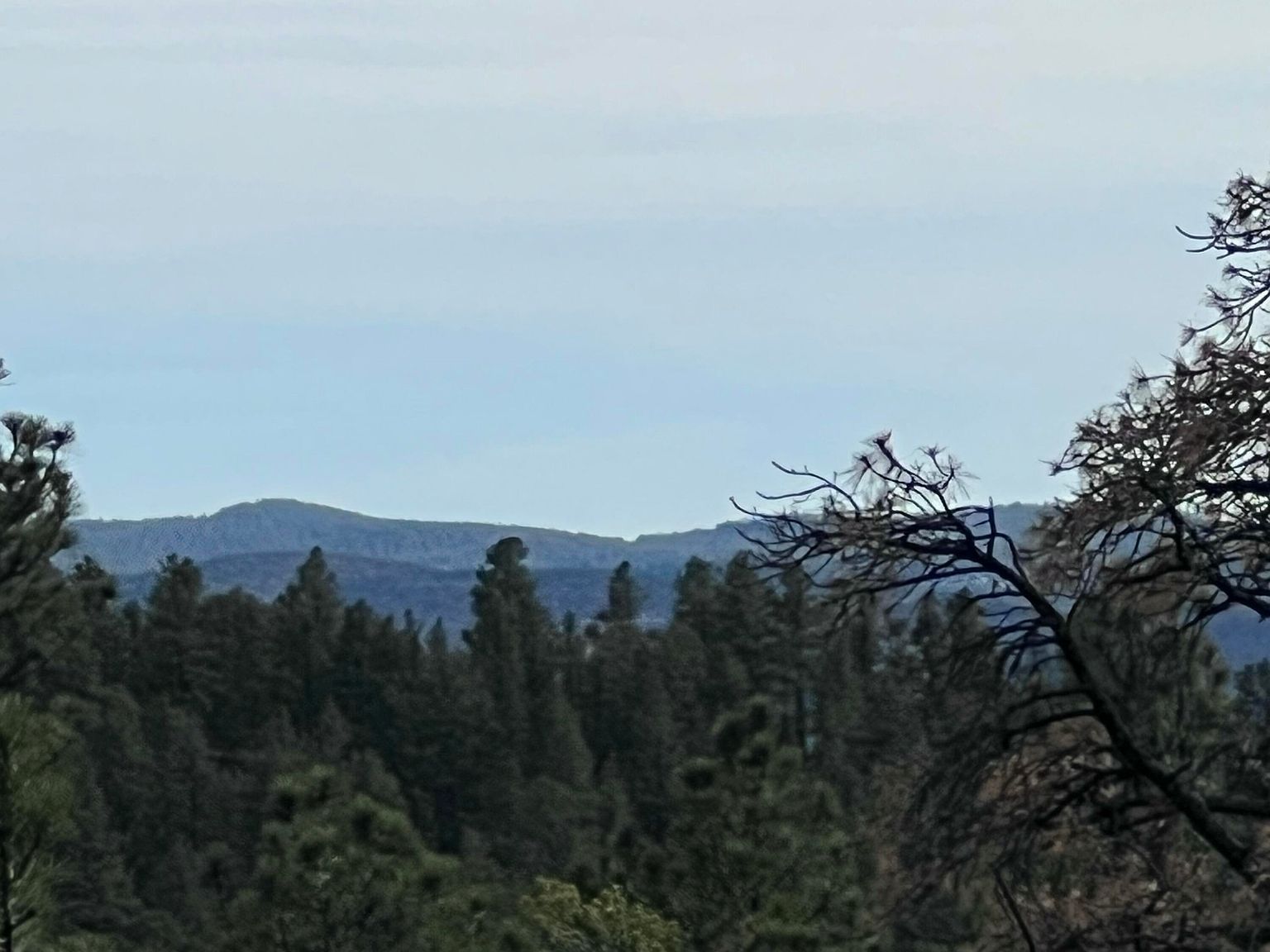 20127 Blue Jay Ln #114 Weston, CO 81091 - Thumbnail 3