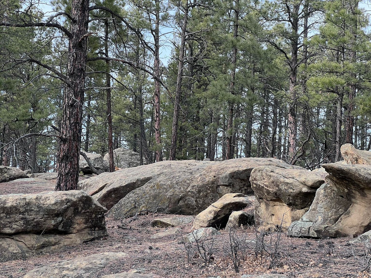 19985 Blue Jay Ln #115 Weston, CO 81091 - Thumbnail 3