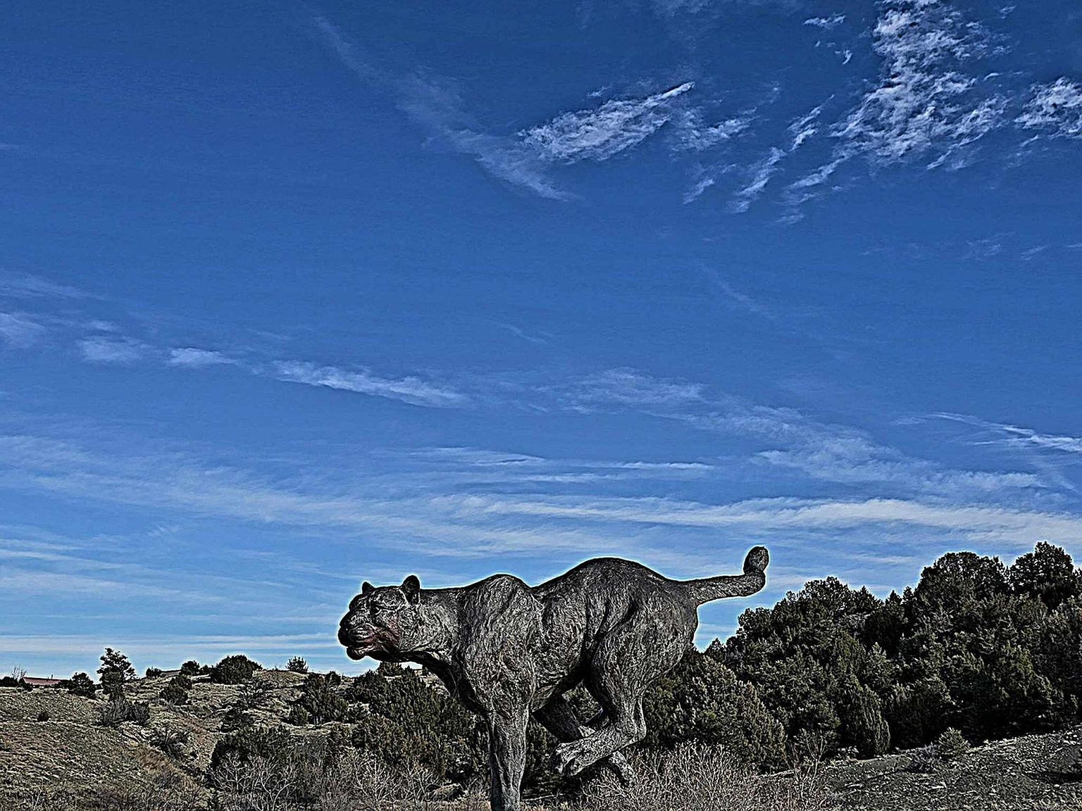 129 Jaffa St Trinidad, CO 81082 - Thumbnail 3