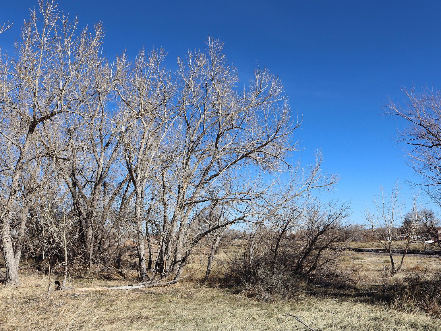 Alfredo Ave Walsenburg, CO 81089 - Thumbnail 3