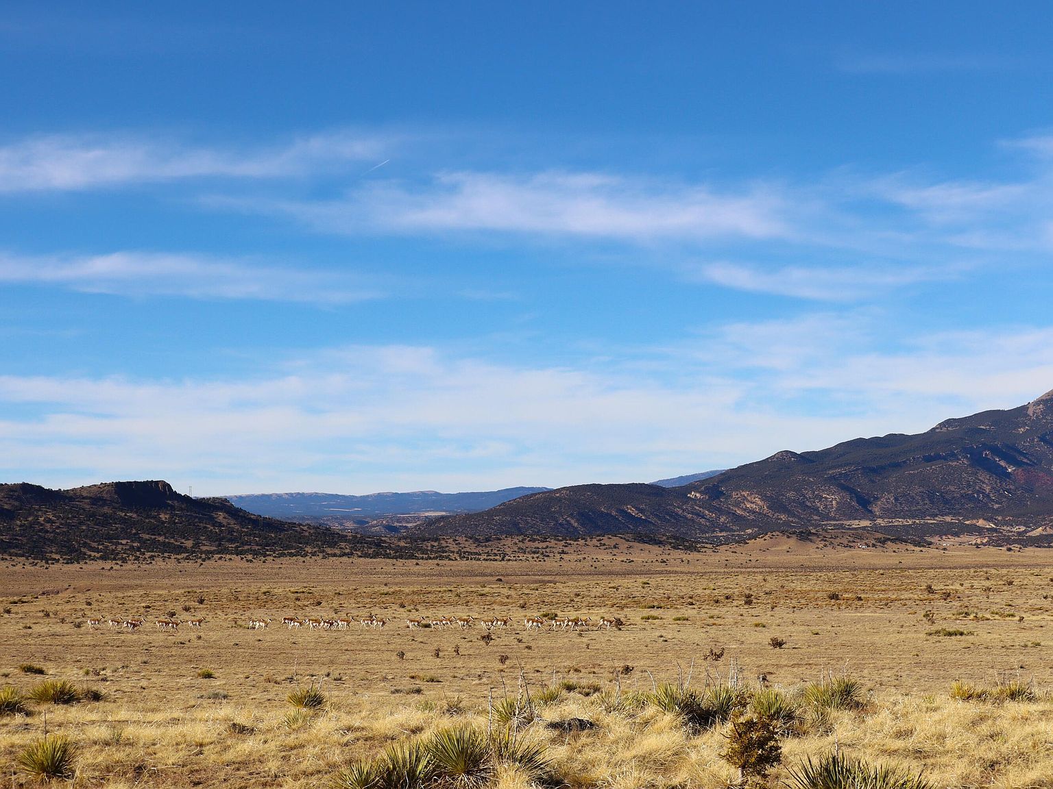 Black Hls LOT 279 Walsenburg, CO 81089 - Thumbnail 3
