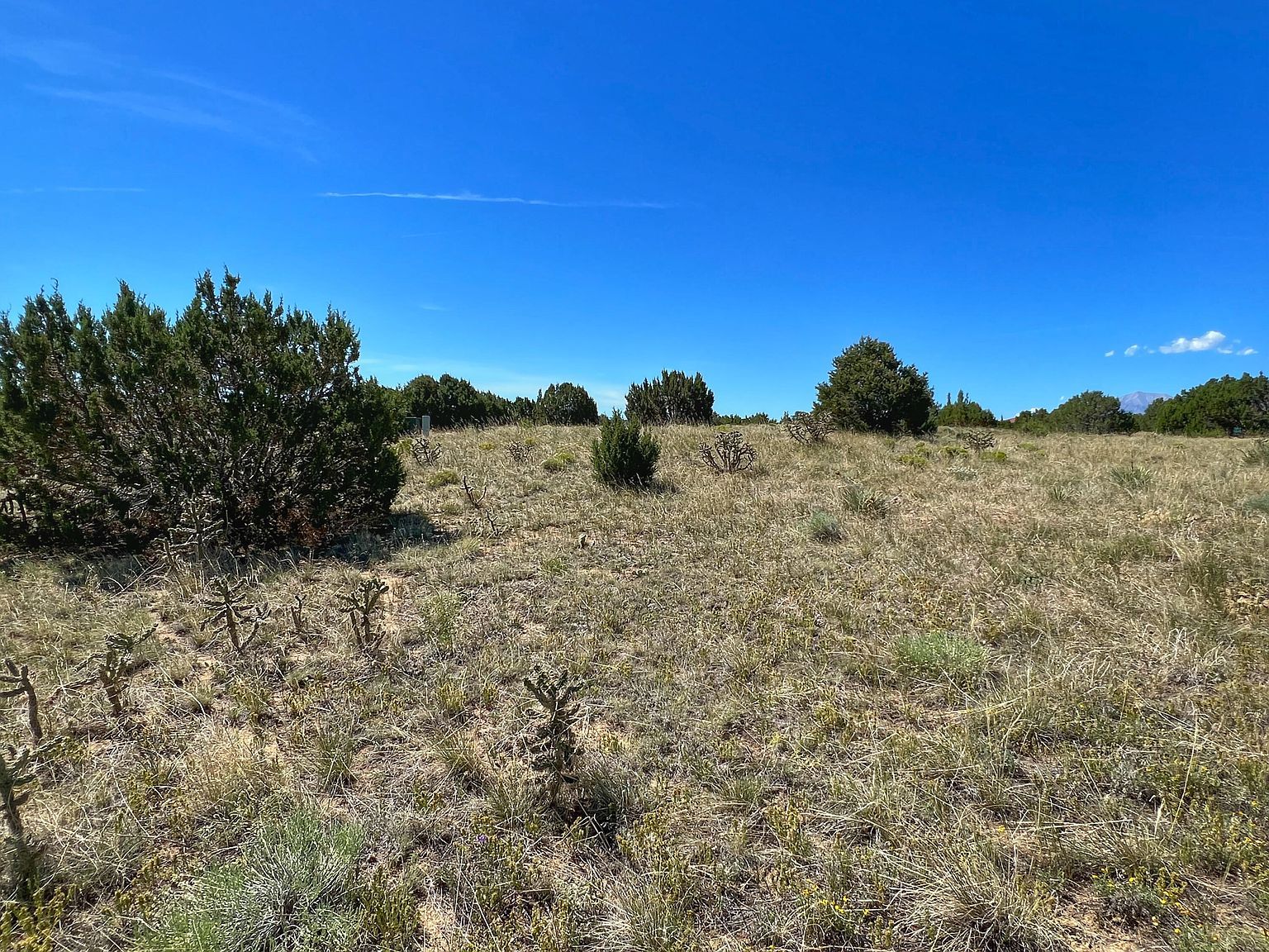 Black Walsenburg, CO 81089 - Thumbnail 3