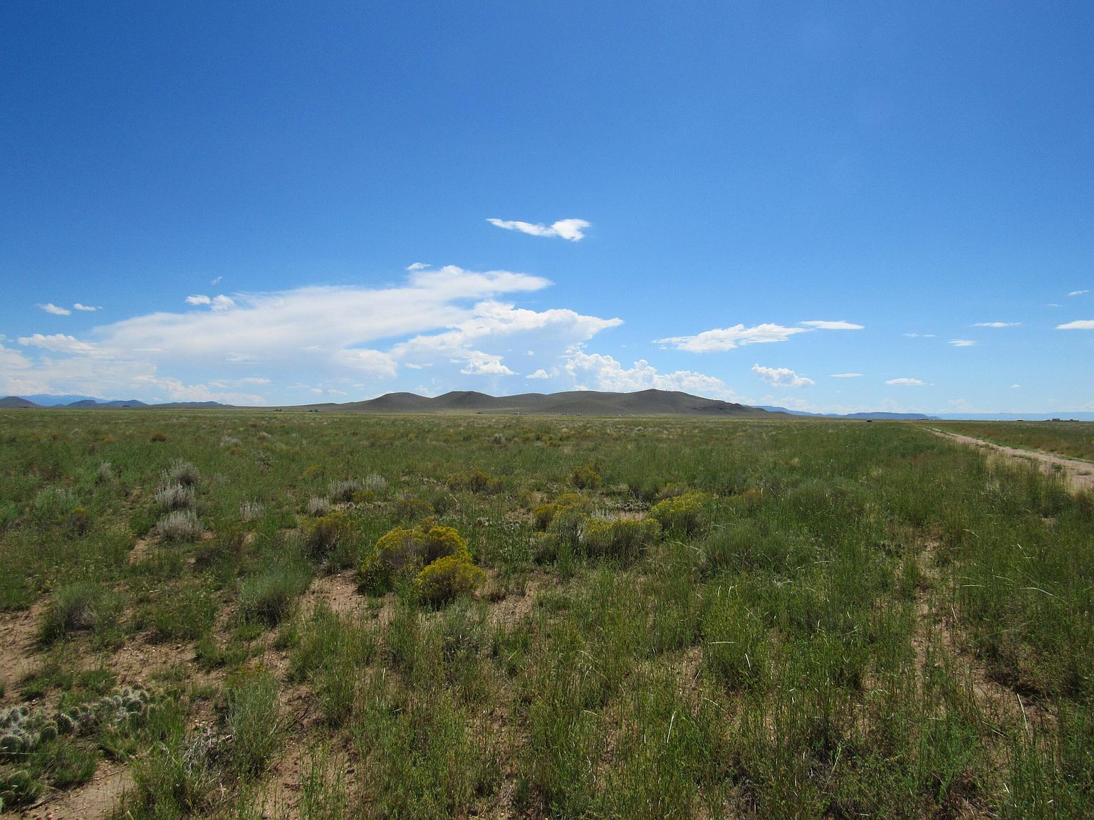 Cripple Creek Rd LOT 21 Blanca, CO 81123 - Thumbnail 3