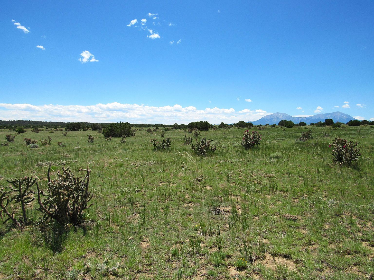 Huajatolla Blvd LOT 829 & 830 Walsenburg, CO 81089 - Thumbnail 3