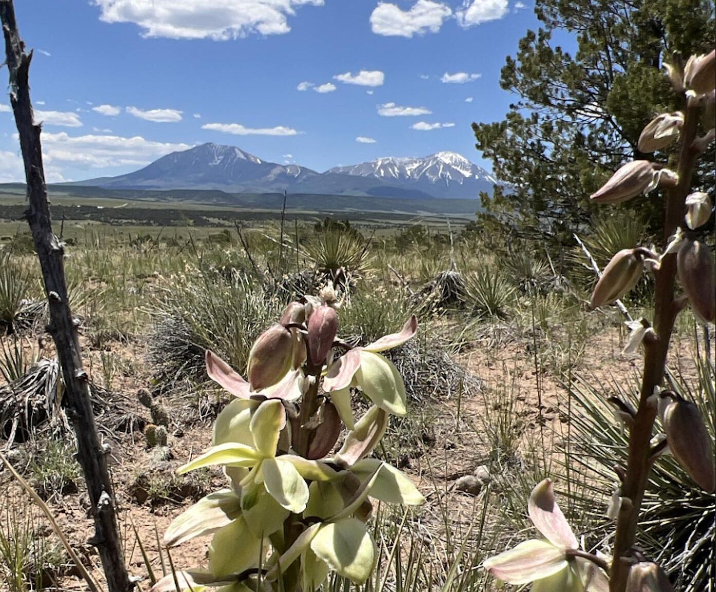 Lots 3&4 Navajo Ranch Ests Walsenburg, CO 81089 - Thumbnail 3