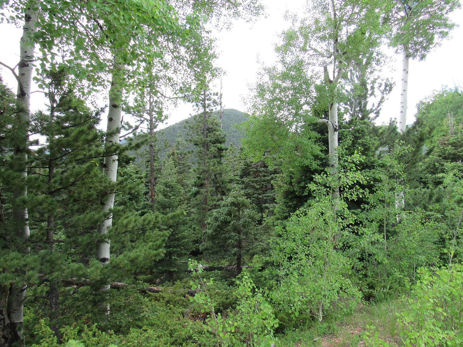 Valley Rd LOT 103 La Veta, CO 81055 - Thumbnail 3