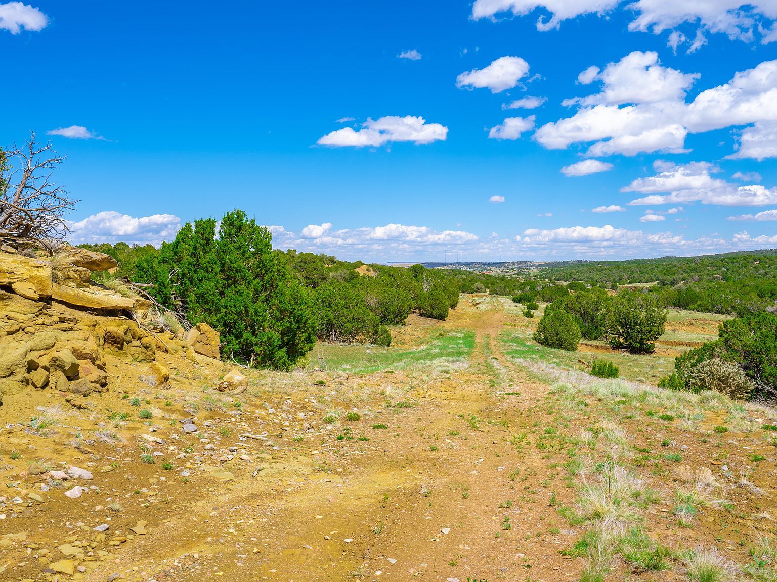 772 Rio Cucharas Chase #3 Walsenburg, CO 81089 - Thumbnail 3
