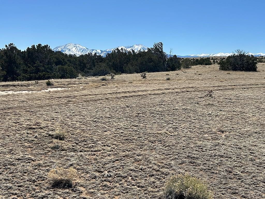 93 Twin Lakes Rd #93 Walsenburg, CO 81089 - Thumbnail 3