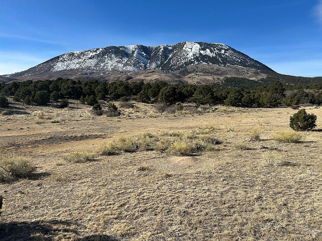 LOT 97 Colorado Land And Grazing Gardner, CO 81040 - Thumbnail 3
