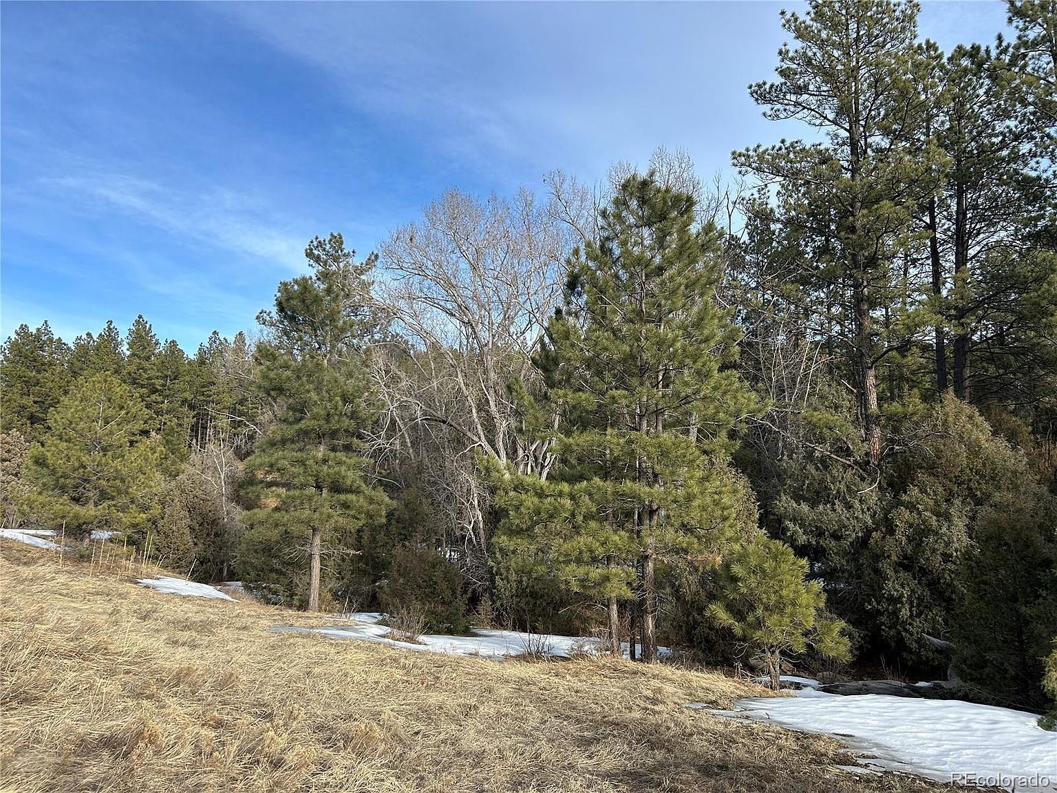 LOT G18 Santa Fe Trail Rnch Trinidad, CO 81082 - Thumbnail 3