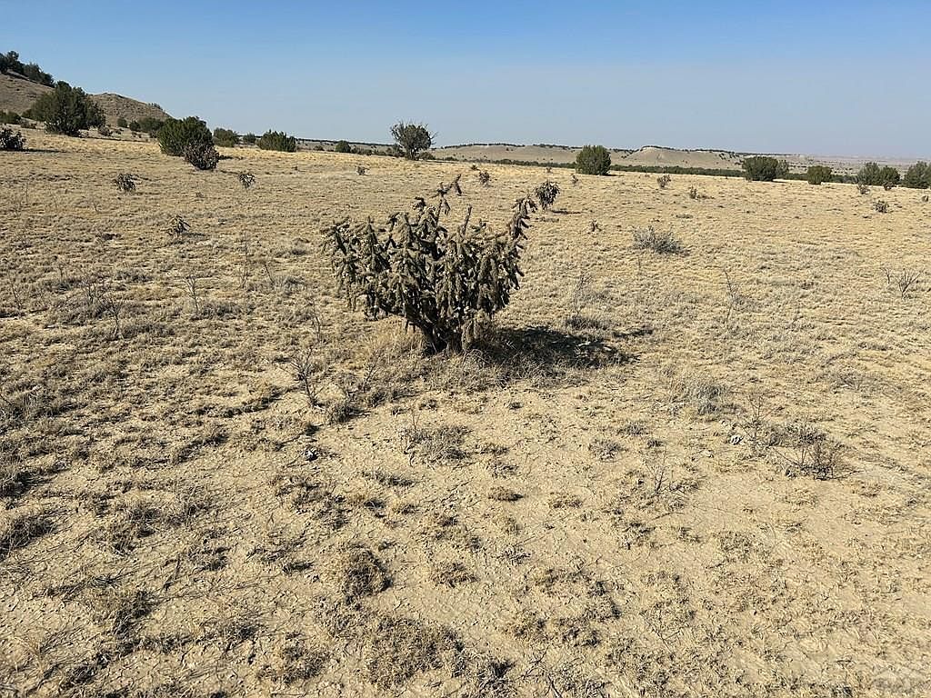 Las Animas Rnch Model, CO 81059 - Thumbnail 3