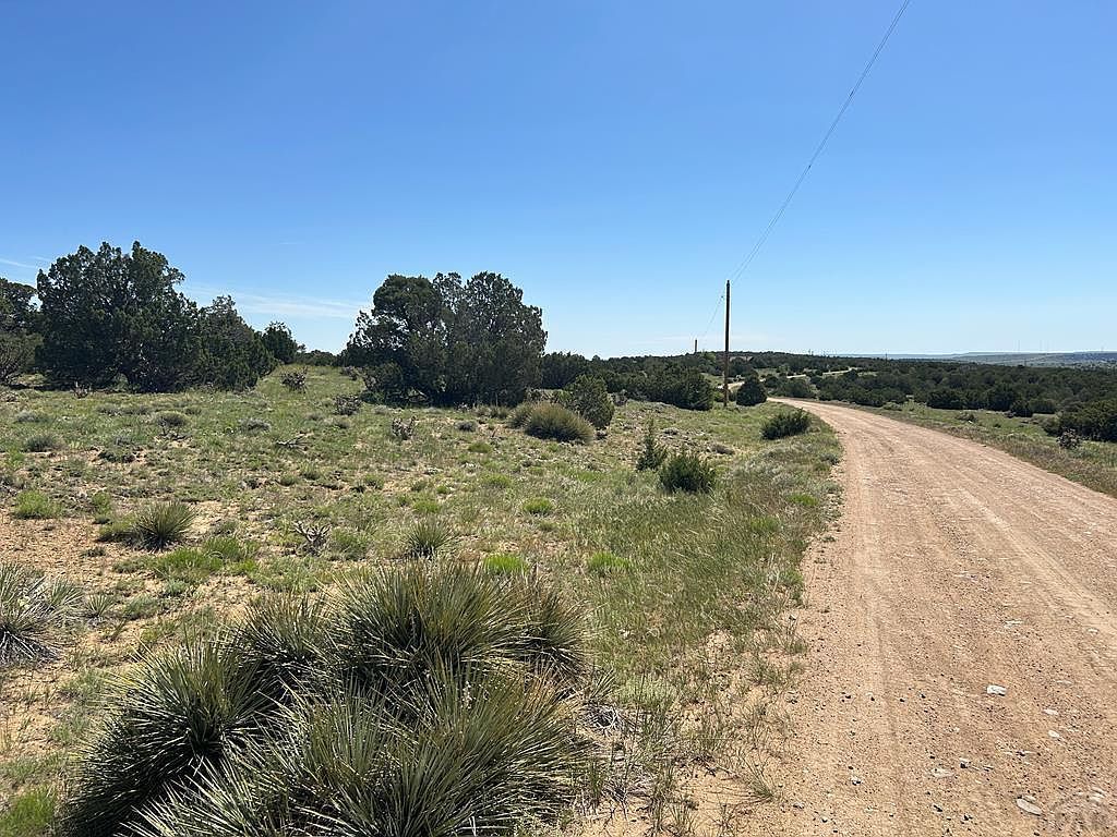 447 Rio Cucharas Walsenburg, CO 81089 - Thumbnail 3