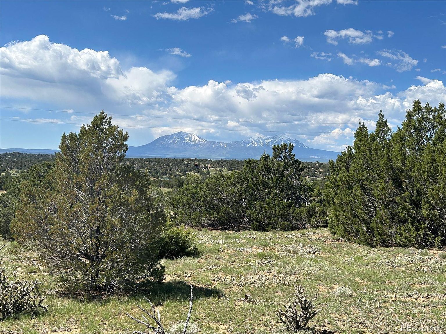 447 Rio Cucharas Pass #2 Walsenburg, CO 81089 - Thumbnail 3